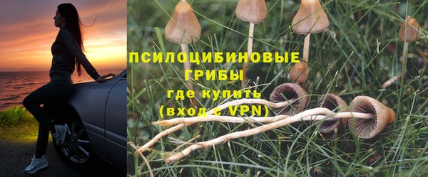 гашик Арсеньев