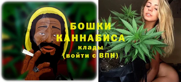 гашик Арсеньев