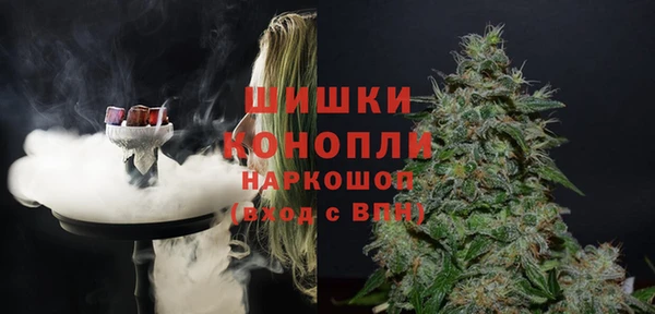 гашик Арсеньев