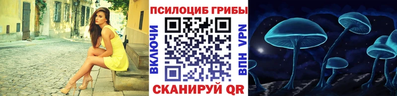 Купить закладки  Королёв  Псилоцибиновые грибы Cubensis 